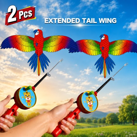 (২ পিস) Eagle Fly Complete Kite Combo (বাচ্চাদের ঘুড়ি)